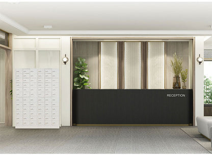 ロッカー ダイヤル錠 3列2段 6人用 貴重品入れ 貴重品ロッカー 貴重品収納 セキュリティボックス 貴重品保管庫 キャビネット 金庫 おしゃれ 鍵 盗難 NSAFE-32-2 保管庫 鍵付きボックス(代引不可)