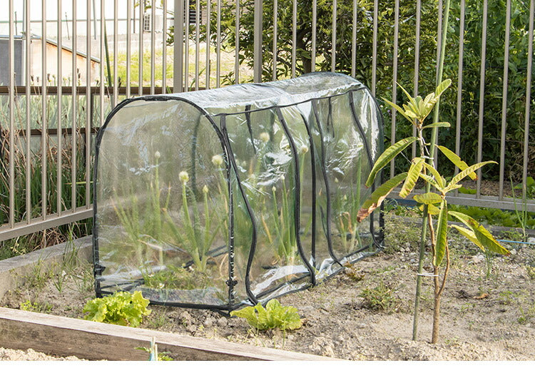 ビニール温室 ドーム型ダブル ブラック 組み立て簡単 工具不要 ビニール温室棚 ビニールハウス フラワーラック ガーデンハウス フラワーハウス ラック ベランダ 家庭用 園芸 栽培 コンパクト 小型