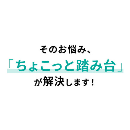 ちょこっと踏み台 高さ10cm 折りたたみ式 踏み台 玄関ステップ 折りたたみ ステップ台 玄関台 足台 低め 段差 玄関 車 ベッド 乗り降り 乗降 病院 洗面所 キッチン コンパクト