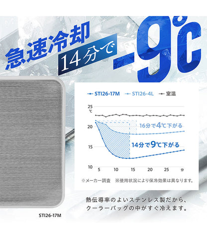 【2個セット】保冷剤 ステンレス製 長時間冷却 急速冷却 アイスパック 防カビ お手入れ簡単! 繰り返し くり返し 冷蔵冷凍対応 熱中症対策 アウトドア キャンプ 防災グッズ 長持ち ステンレス保冷剤