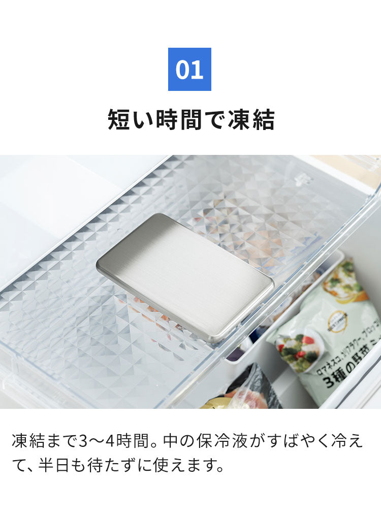 【2個セット】保冷剤 ステンレス製 長時間冷却 急速冷却 アイスパック 防カビ お手入れ簡単! 繰り返し くり返し 冷蔵冷凍対応 熱中症対策 アウトドア キャンプ 防災グッズ 長持ち ステンレス保冷剤