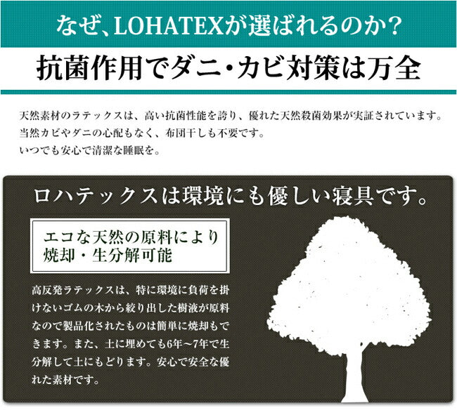 まくら 枕 高反発 抗菌 ダニ カビ 臭い 消臭 ラテックス高反発枕 LOHATEX ネックサポートピロー 小サイズ 50*30*7/9cm 【QX02】(代引不可)