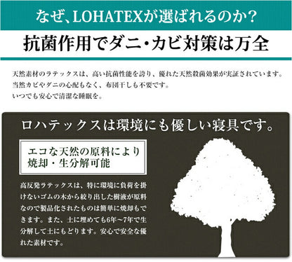 まくら 枕 高反発 抗菌 ダニ カビ 臭い 消臭 ラテックス高反発枕 LOHATEX ネックサポートピロー 小サイズ 50*30*7/9cm 【QX02】(代引不可)