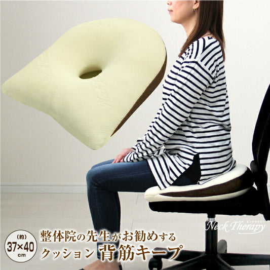 整体院の先生がお勧めする クッション 背筋キープ 約37×40cm 低反発ウレタンチップ ネックセラピー 背筋が伸びる 猫背改善(代引不可)