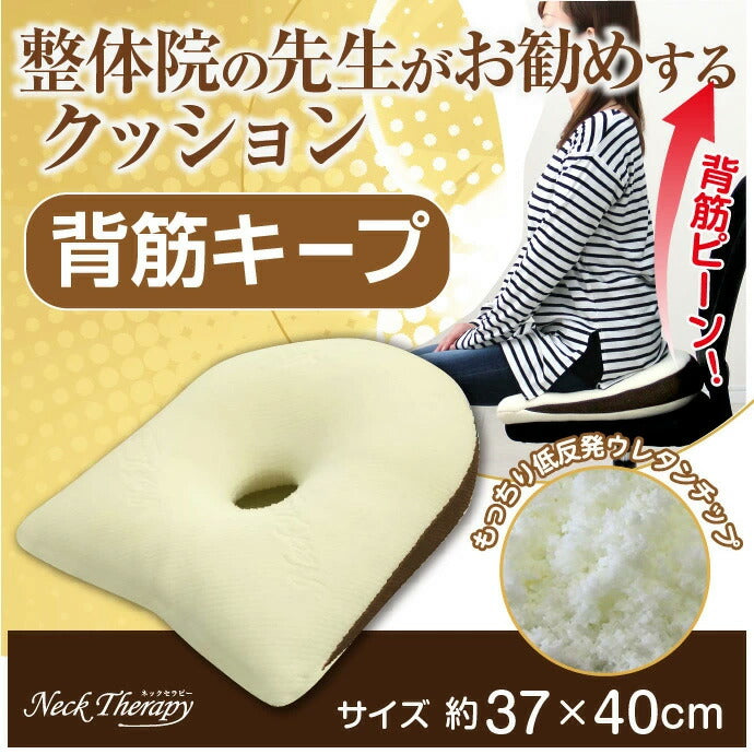 整体院の先生がお勧めする クッション 背筋キープ 約37×40cm 低反発ウレタンチップ ネックセラピー 背筋が伸びる 猫背改善(代引不可)