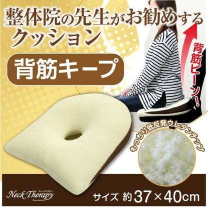 整体院の先生がお勧めする クッション 背筋キープ 約37×40cm 低反発ウレタンチップ ネックセラピー 背筋が伸びる 猫背改善(代引不可)