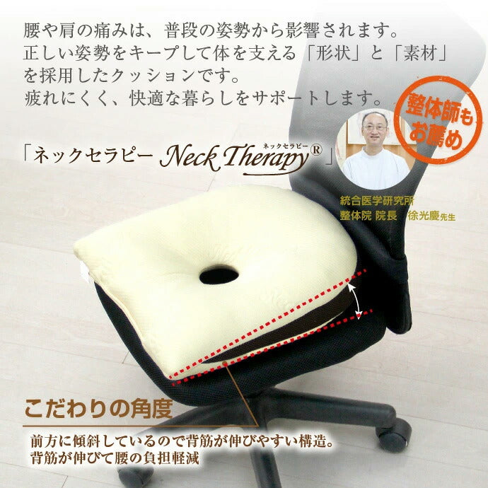整体院の先生がお勧めする クッション 背筋キープ 約37×40cm 低反発ウレタンチップ ネックセラピー 背筋が伸びる 猫背改善(代引不可)