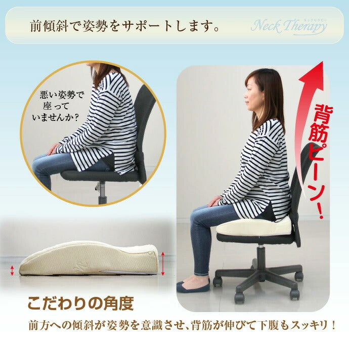 整体院の先生がお勧めする クッション お尻にフィット 約41×41cm 低反発素材 ネックセラピー 正しい姿勢 猫背矯正 ギフト(代引不可)