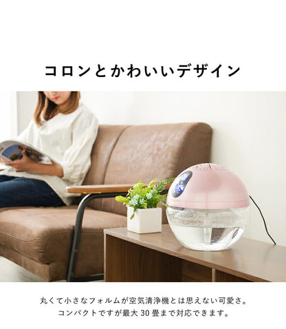 空気清浄機 小型 バイオナースボール DX「水で空気を洗う」 アロマ空気清浄機 大容量 除菌 消臭付 タイマー機能 PM2.5 対応 花粉 黄砂 LEDライト シャンパンゴールド ウッドスタイル 水空気洗浄器 ソウイジャパン