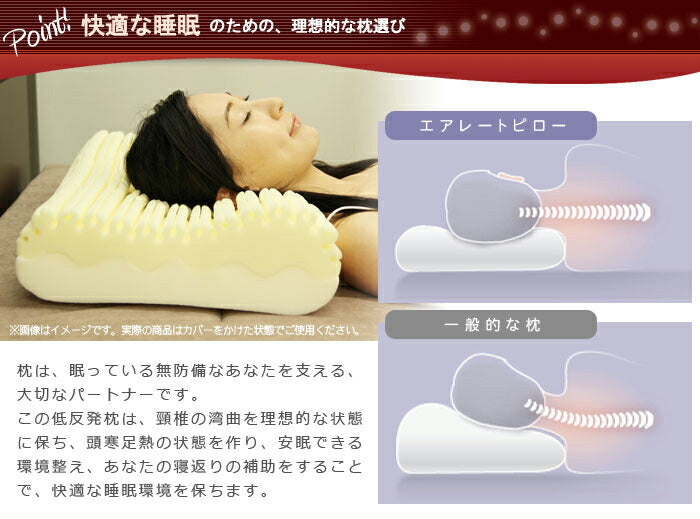 【お得な2個セット】rexa × Francebed フランスベッド エアレートピロー スタンダードモデル まくら 寝具 ピロー