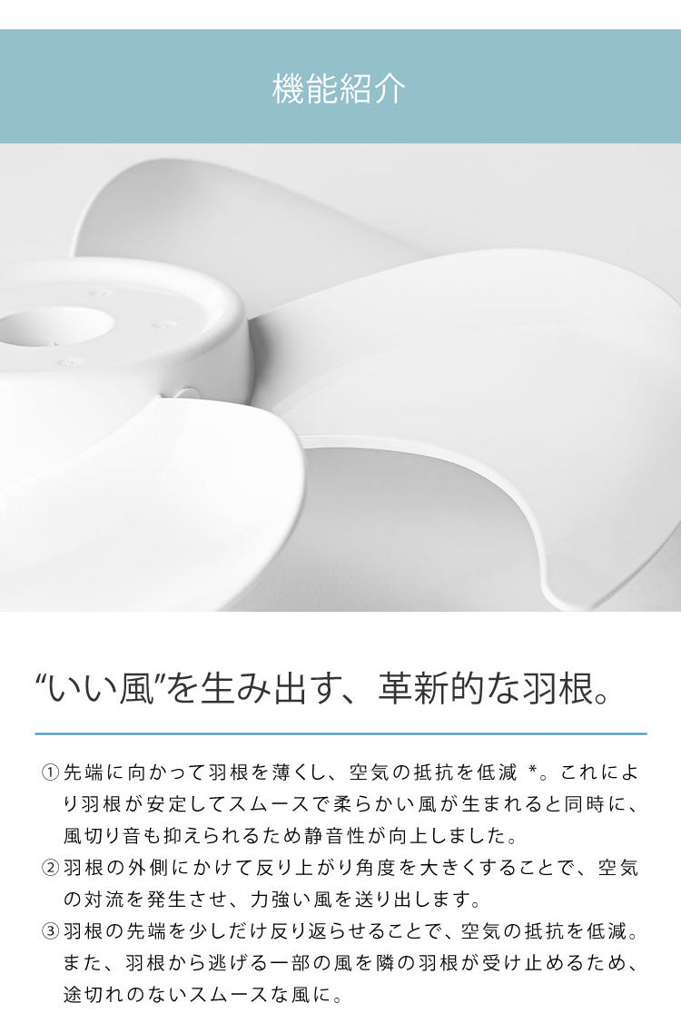 扇風機 サーキュレーター 省エネ DC 3D首振り シロカ siroca 強風 風量8段階 部屋干し 羽根約23cm 寝室 衣類乾燥 組立不要 暑さ対策 オンオフタイマー リビング 静か 一人暮らし SF-C213