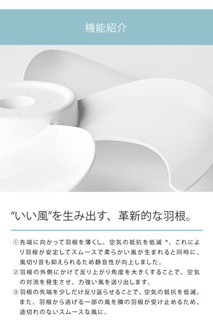 扇風機 サーキュレーター 省エネ DC 3D首振り シロカ siroca 強風 風量8段階 部屋干し 羽根約23cm 寝室 衣類乾燥 組立不要 暑さ対策 オンオフタイマー リビング 静か 一人暮らし SF-C213