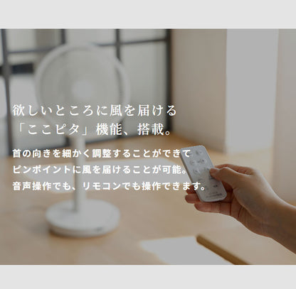 【音声操作対応】シロカ サーキュレーター扇風機 SF-V251 DCモーター 30cm羽根 風量8段階 自動首振り リモコン付き タイマー機能付き 静音 おやすみモード対応 ホワイト ダークグレー siroca