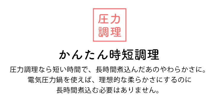 siroca 電気圧力鍋 SP-4D151 スロー調理機能付き タイマー付き 保温機能 レシピ付き 時短 無水 プロ 圧力鍋 スチームクッカー 呼び容量4L(リットル)