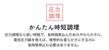 siroca 電気圧力鍋 SP-4D151 スロー調理機能付き タイマー付き 保温機能 レシピ付き 時短 無水 プロ 圧力鍋 スチームクッカー 呼び容量4L(リットル)