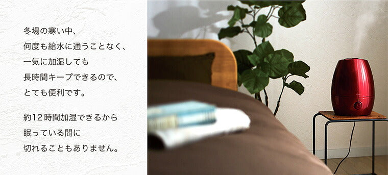 siroca シロカ 5L 超音波加湿器 抗菌仕様 加湿器 ミスト スチーム 大容量 超音波 SD-C113