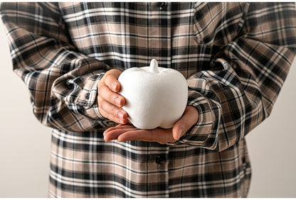 フルーツオブジェ CLY-41 東谷 オブジェ リンゴ 小物 置物 インテリア雑貨 玄関 果物 陶器 つや アート おしゃれ コンパクト リビング かわいい コレクション(代引不可)