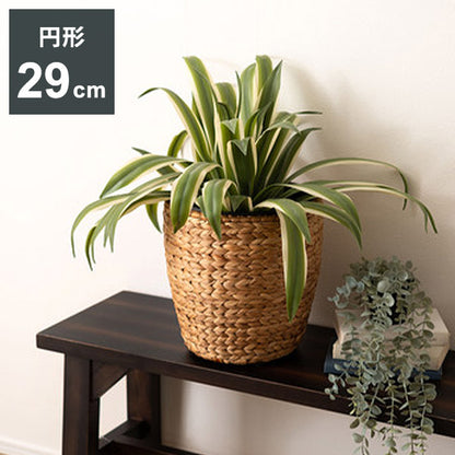 プランター 円型 7号用 プランター 鉢入れ アジアン 観葉植物 シンプル ウォーターヒヤシンス 雑貨 インテリア 室内 ブラウン 茶色 編み かご インテリア おしゃれ かわいい(代引不可)