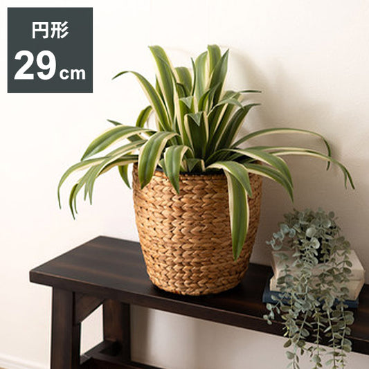プランター 円型 7号用 プランター 鉢入れ アジアン 観葉植物 シンプル ウォーターヒヤシンス 雑貨 インテリア 室内 ブラウン 茶色 編み かご インテリア おしゃれ かわいい(代引不可)