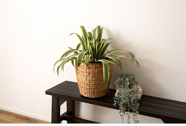 プランター 円型 7号用 プランター 鉢入れ アジアン 観葉植物 シンプル ウォーターヒヤシンス 雑貨 インテリア 室内 ブラウン 茶色 編み かご インテリア おしゃれ かわいい(代引不可)