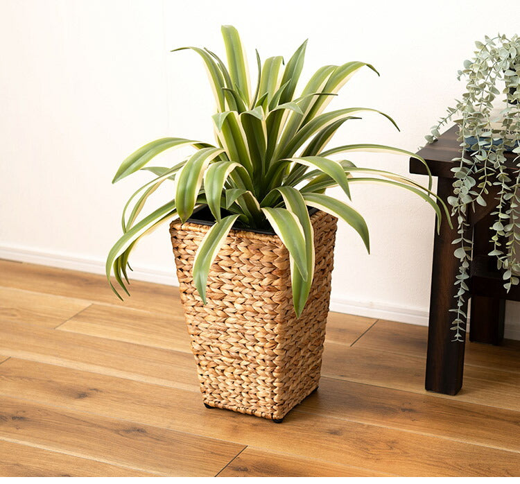 プランター 角型 5号用 角ハイタイプ プランター 鉢入れ アジアン 観葉植物 植物 シンプル ウォーターヒヤシンス 雑貨 インテリア 室内 ブラウン 茶色 編み かご ゴミ箱 収納(代引不可)