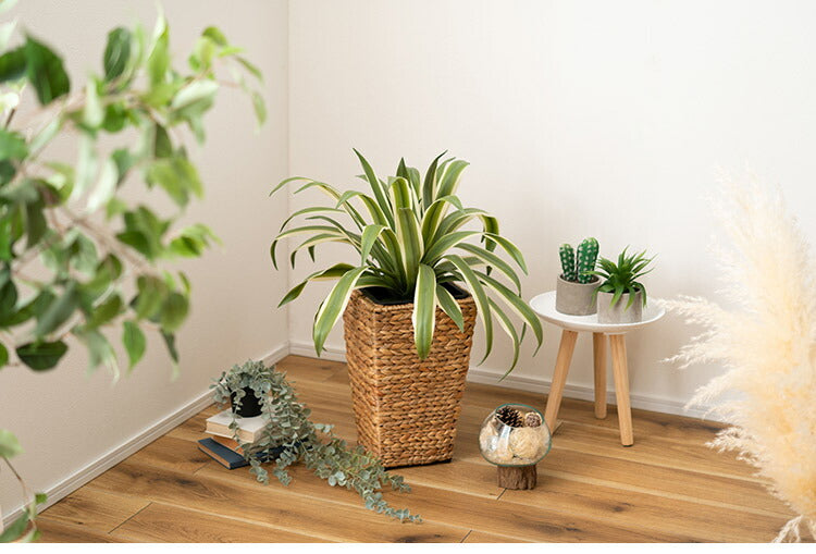 プランター 角型 5号用 角ハイタイプ プランター 鉢入れ アジアン 観葉植物 植物 シンプル ウォーターヒヤシンス 雑貨 インテリア 室内 ブラウン 茶色 編み かご ゴミ箱 収納(代引不可)