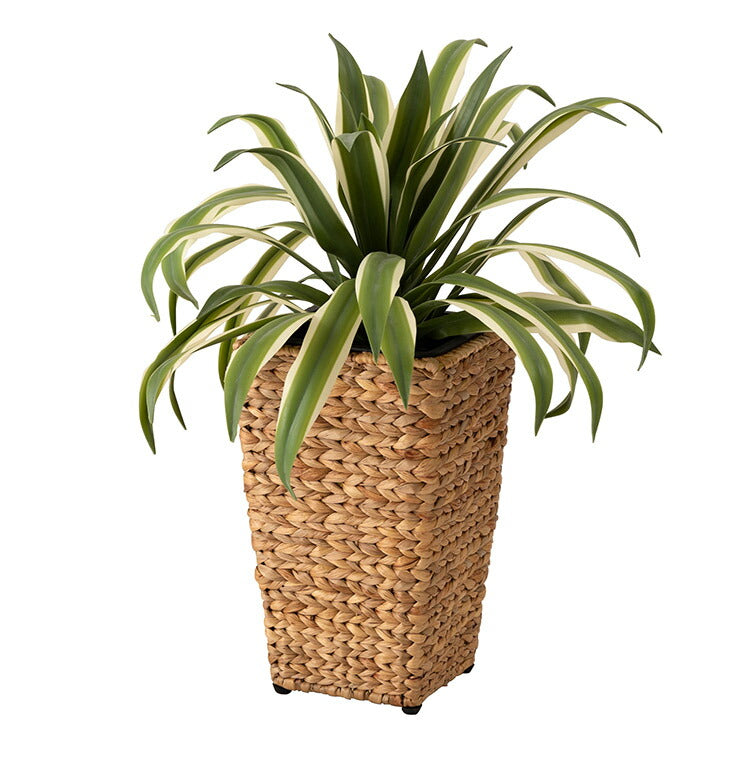 プランター 角型 5号用 角ハイタイプ プランター 鉢入れ アジアン 観葉植物 植物 シンプル ウォーターヒヤシンス 雑貨 インテリア 室内 ブラウン 茶色 編み かご ゴミ箱 収納(代引不可)