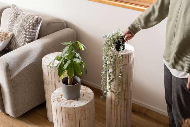 グリーンベース グリーン ベース 花台 天然木 ホワイト ナチュラル プランターベース おしゃれ 観葉植物 インテリア 造花 ガーデン ウェディング(代引不可)