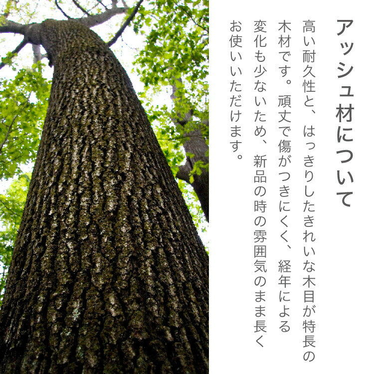 ダイニング5点セット ダイニングテーブル ダイニングチェア4脚 天然木 おしゃれ 北欧 木製 木目 ダイニングセット アッシュ 四人用 4人用 新生活(代引不可)