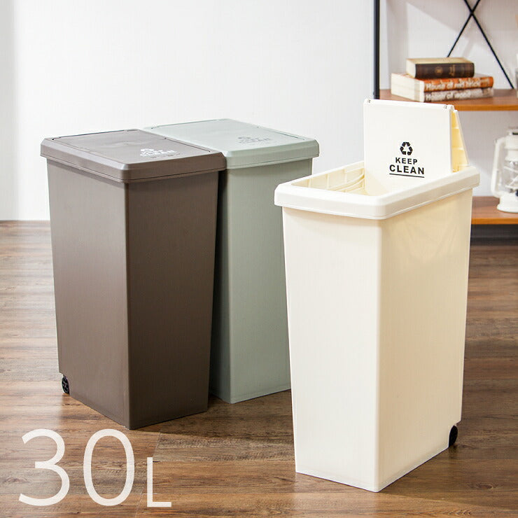 スライドペール 30L ふた付き 幅24cm 30リットル ごみ箱 ダストボックス キッチン スリム コンパクト プラスチック 角型(代引不可)
