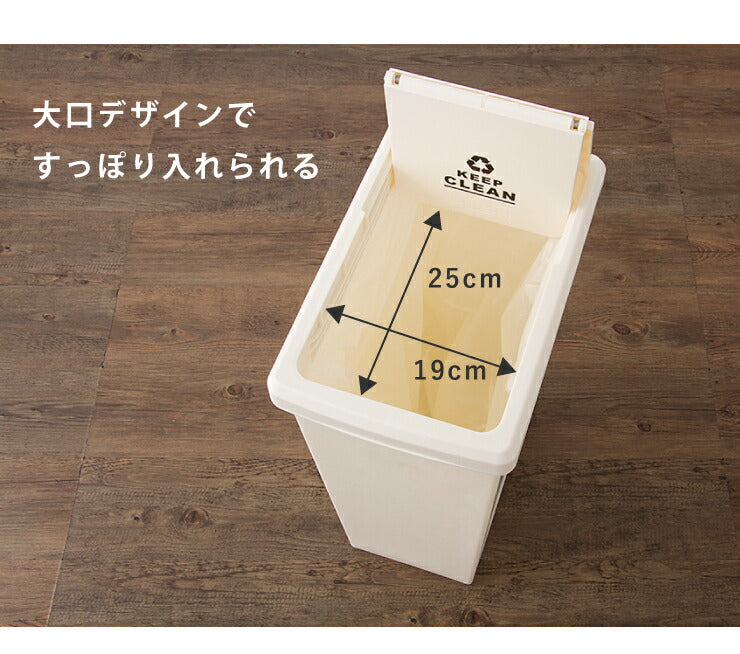 スライドペール 30L ふた付き 幅24cm 30リットル ごみ箱 ダストボックス キッチン スリム コンパクト プラスチック 角型(代引不可)