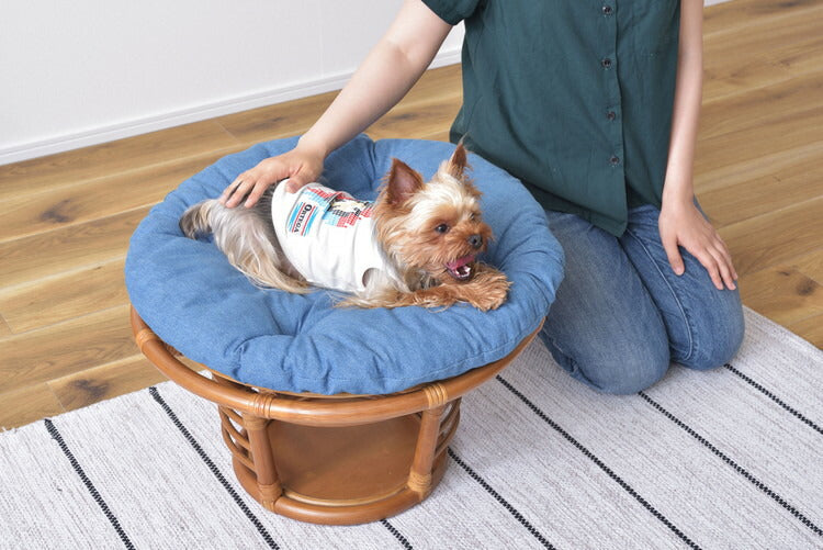 スツール ペットスツール 椅子 チェア ペット イヌ ネコ 犬 猫 クッション ラタン 収納 ゆったり おしゃれ リビング アニマル(代引不可)