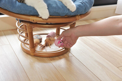 スツール ペットスツール 椅子 チェア ペット イヌ ネコ 犬 猫 クッション ラタン 収納 ゆったり おしゃれ リビング アニマル(代引不可)