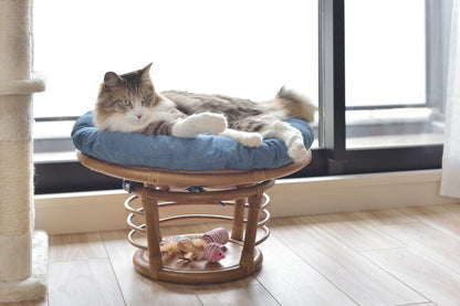 スツール ペットスツール 椅子 チェア ペット イヌ ネコ 犬 猫 クッション ラタン 収納 ゆったり おしゃれ リビング アニマル(代引不可)