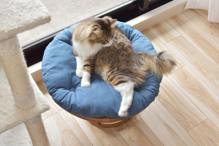 スツール ペットスツール 椅子 チェア ペット イヌ ネコ 犬 猫 クッション ラタン 収納 ゆったり おしゃれ リビング アニマル(代引不可)