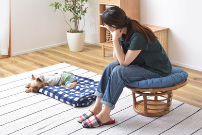 スツール ペットスツール 椅子 チェア ペット イヌ ネコ 犬 猫 クッション ラタン 収納 ゆったり おしゃれ リビング アニマル(代引不可)