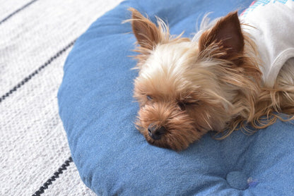 スツール ペットスツール 椅子 チェア ペット イヌ ネコ 犬 猫 クッション ラタン 収納 ゆったり おしゃれ リビング アニマル(代引不可)