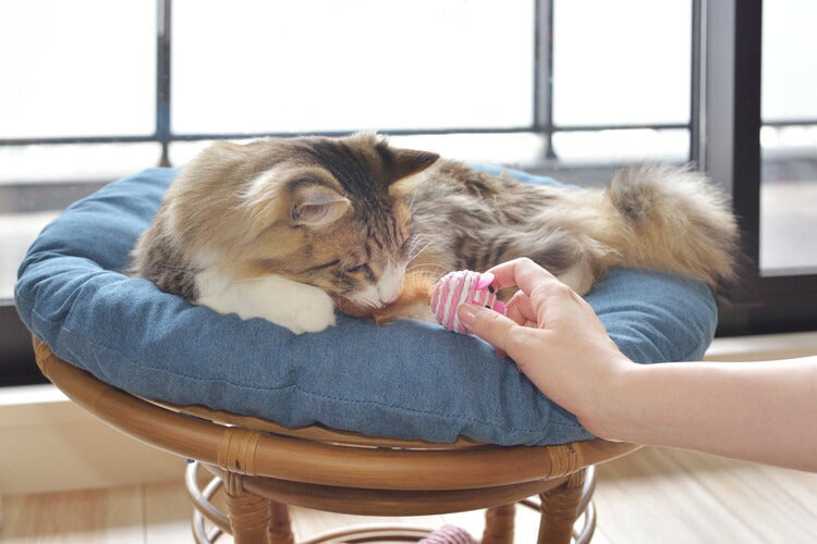 スツール ペットスツール 椅子 チェア ペット イヌ ネコ 犬 猫 クッション ラタン 収納 ゆったり おしゃれ リビング アニマル(代引不可)