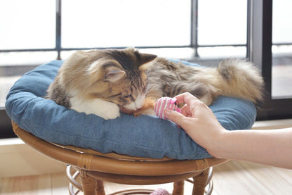 スツール ペットスツール 椅子 チェア ペット イヌ ネコ 犬 猫 クッション ラタン 収納 ゆったり おしゃれ リビング アニマル(代引不可)