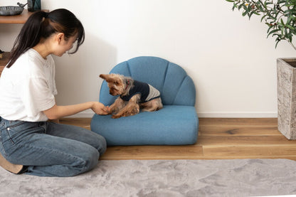 ペットソファ ソファ コンパクト ペット 犬 猫 うさぎ 脚付き ブルー ふっくら 椅子 ローソファ かわいい おしゃれ ペット用品(代引不可)