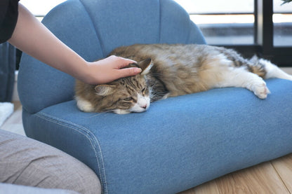 ペットソファ ソファ コンパクト ペット 犬 猫 うさぎ 脚付き ブルー ふっくら 椅子 ローソファ かわいい おしゃれ ペット用品(代引不可)