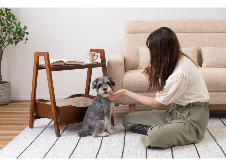 ペットベッド サイドテーブル テーブル ペット 犬 猫 ウサギ シンプル おしゃれ 北欧 持ち手 ハンドル クッション付き 木製 天然木 ナチュラル ブラウン リビング 高さ60cm(代引不可)