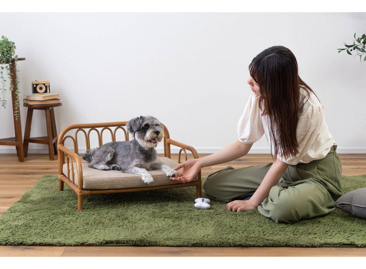 ペットベッド ラタン 藤 おしゃれ 軽量 ベッド ペット 犬 猫 うさぎ 軽い ラタン 藤 シンプル クッション付き 取り外し 個体差 布地 ファブリック 幅60cm インテリア(代引不可)