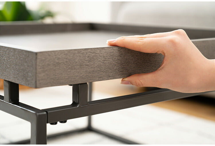 リビングテーブル PT-784 東谷 テーブル センターテーブル リビングテーブル ローテーブル ソファテーブル リビング おしゃれ コーヒーテーブル 天然木 シンプル スチール脚 アイアン シック(代引不可)