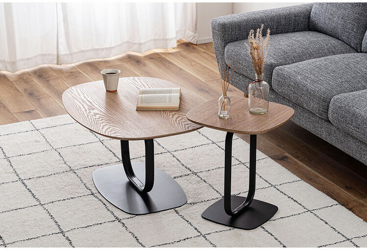 リビングテーブル TEC-85 東谷 リビングテーブル センターテーブル 机 スリム おしゃれ モダン ベッドサイドテーブル ブラックスチール スチール コーヒーテーブル シンプル 高級感 黒(代引不可)