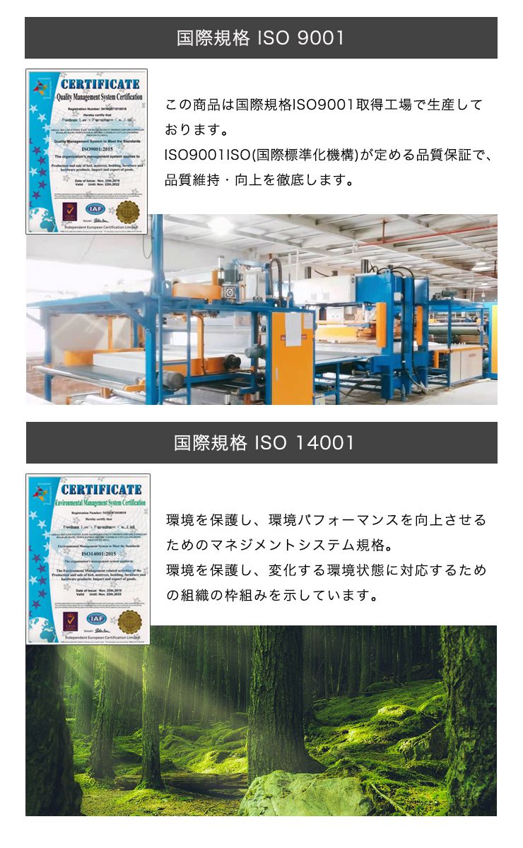 カウチソファ 3人掛け ソファー ソファ 北欧 おしゃれ 天然木脚 クッション付き ハイタイプ ロータイプ 3人掛けソファ 三人掛け ローソファ フロアソファ カウチソファー ソファーベッド リビングソファー(代引不可)