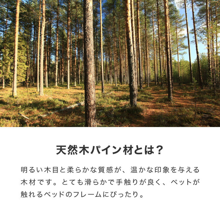 ペットベッド 木製 洗える クッション付き 選べるサイズ M L ペット用 猫用 犬用 ベッド 階段付き 春 夏 秋 冬 天然木 ペット(代引不可)