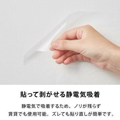 選べる4サイズ 壁保護 シート 0.45×2.5m 0.45×5m 0.6×10m 0.9×10m 貼って剥がせる 爪とぎ防止 はっ水 透明 クリア フリーカット 貼り直し可能 賃貸OK 貼り付け簡単 汚れ防止 マーキング対策 猫