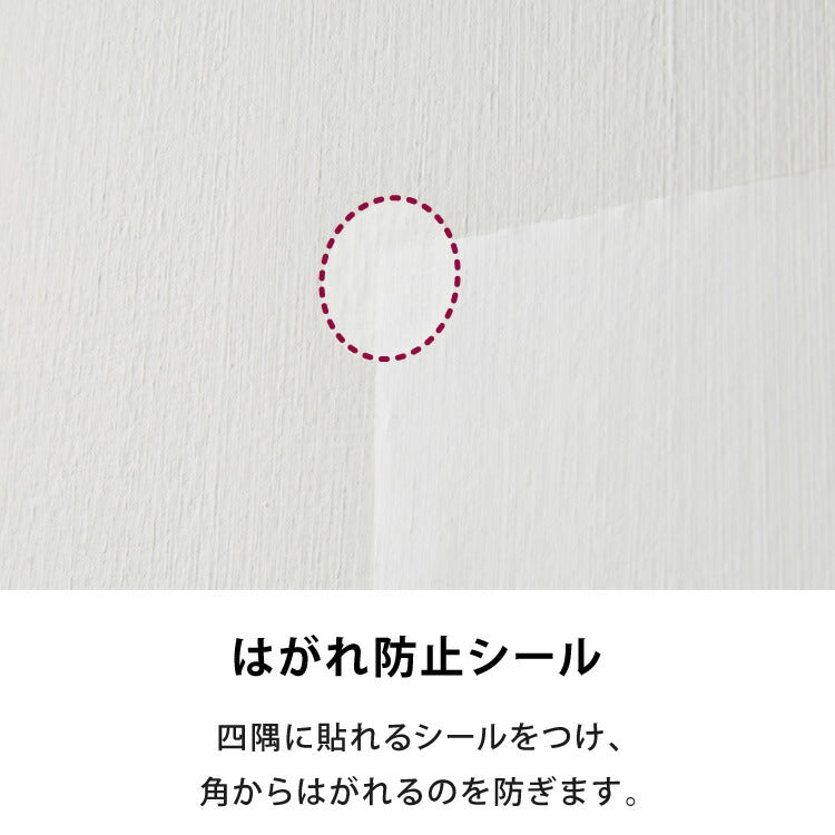 選べる4サイズ 壁保護 シート 0.45×2.5m 0.45×5m 0.6×10m 0.9×10m 貼って剥がせる 爪とぎ防止 はっ水 透明 クリア フリーカット 貼り直し可能 賃貸OK 貼り付け簡単 汚れ防止 マーキング対策 猫