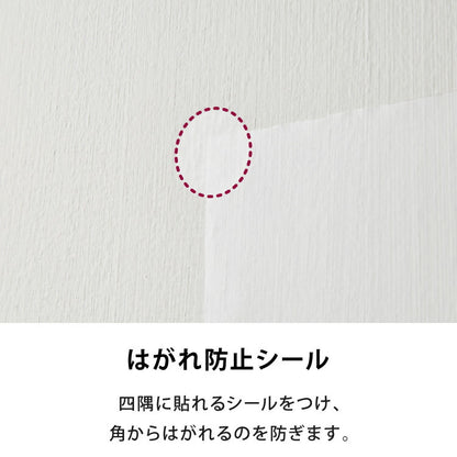 選べる4サイズ 壁保護 シート 0.45×2.5m 0.45×5m 0.6×10m 0.9×10m 貼って剥がせる 爪とぎ防止 はっ水 透明 クリア フリーカット 貼り直し可能 賃貸OK 貼り付け簡単 汚れ防止 マーキング対策 猫